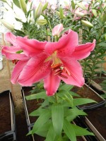 [3455 W05 0708-01 No02.JPG]